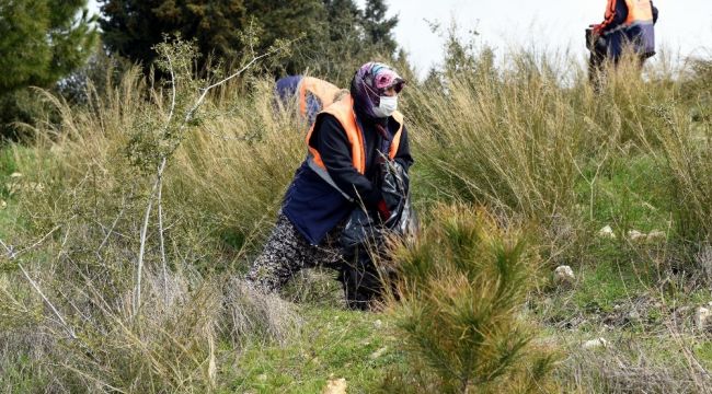 Aliağa Belediyesinden orman temizliği