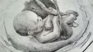 Anne koronavirüse yakalandı, cenin öldü!