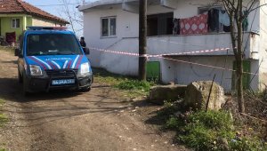 Anne-oğul sobadan zehirlendi