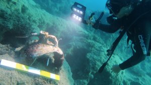 Antalya kıyılarında 3 yılda 125 batık bulundu