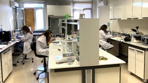 Arıcılıkta Türkiye ve dünyadaki ilkler İzmir'de uygulanıyor