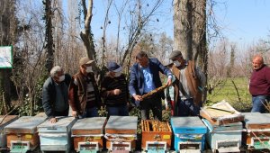 Arılar çiçekle buluştu, yetiştiriciyi ilaçlama korkusu sardı