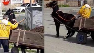 Ata keserli işkence