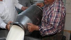 Aydın'da 23 milyon liralık çiğ süt destek ödemesi