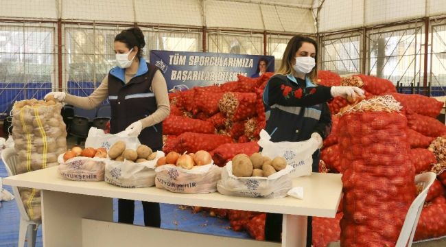 Aydın'da patates ve soğan üreticisine destek