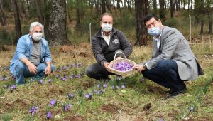 Barış Saylak: "Muğla endemik bitki zengini"