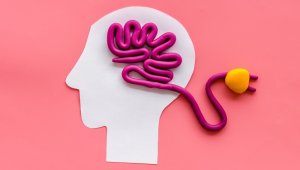 Beyin hakkında doğru sanılan 15 yanlış