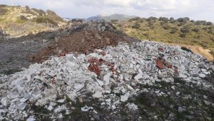 Bodrum'da çevre katliamı durdurulamıyor