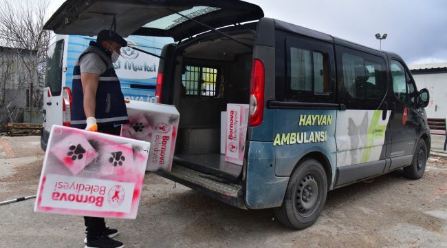 Bornova Belediyesi can dostları unutmuyor