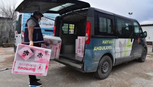 Bornova Belediyesi can dostları unutmuyor