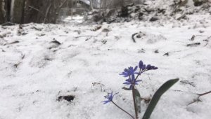 Bozdağ'da kar yağışı