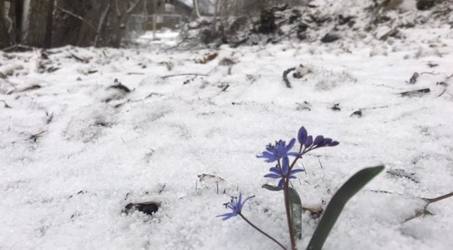 Bozdağ'da kar yağışı