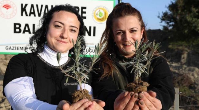 Bu ormandan bal damlayacak, köylüye gelir olacak
