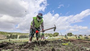 Buca'da ormanlık alana İzmirliler adına 500 fidan dikildi