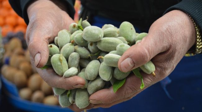 Çağla sezonu 50 TL'den açtı