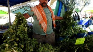 Çeşme'nin ot uzmanı "Minik Pala"