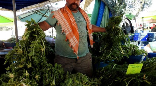 Çeşme'nin ot uzmanı "Minik Pala"