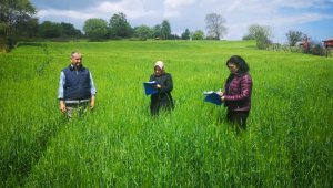 Çiftçilere yüzde 50 hibeli tohum desteği