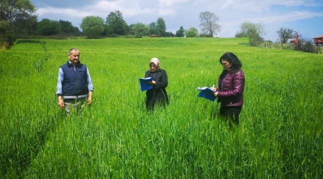 Çiftçilere yüzde 50 hibeli tohum desteği