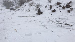 Çığ düştü, demir direkler yerle bir oldu