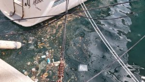 Datça'da deniz yüzeyinde kirlilik