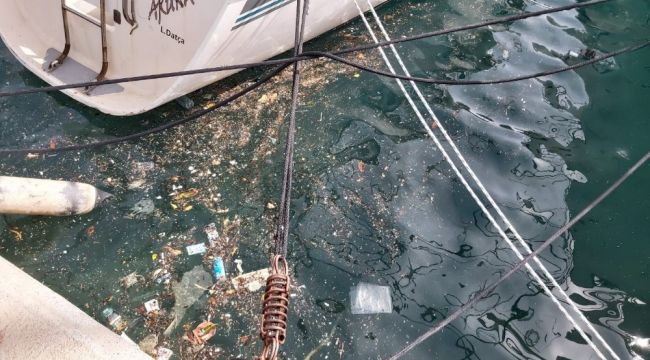 Datça'da deniz yüzeyinde kirlilik