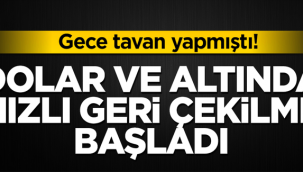 Dolar ve altında hızlı geri çekilme