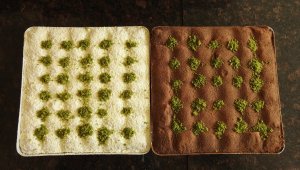 Düşük kalorili lezzet: Soğuk baklava