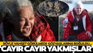 Edirne'de kan donduran vahşet