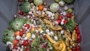 Gıda israfında ürkütücü boyut