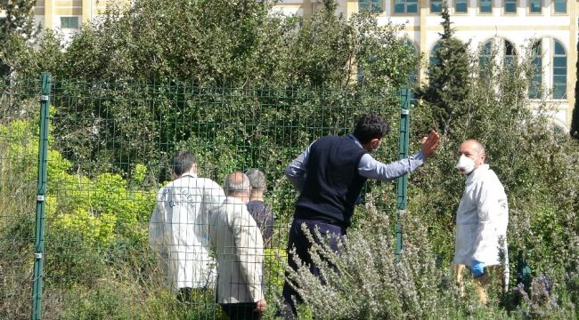 Hastane bahçesinde insan kafatası!