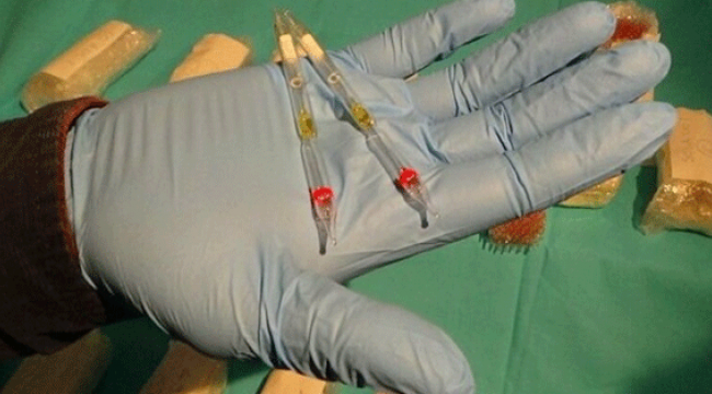 Hatay'da 156 tüp kobra zehri ele geçirildi