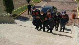 Hayvanat bahçesindeki geyiği kesip yediler!