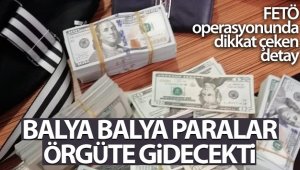 İzmir'deki baskında balya balya paralar bulundu