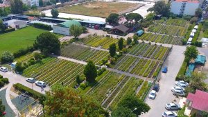 İzmir'in kalbindeki 97 yıllık oksijen deposu