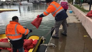 Kaçak avlanan 700 kilo akivades denize bırakıldı