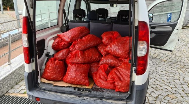Kaçak yollarla avlanan 400 kilo midye denize bırakıldı