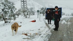Kardan yol kapanınca hayvanların imdadına jandarma yetişti