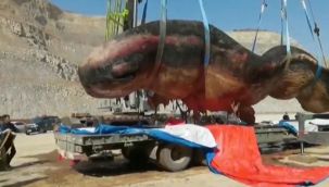 Kıyıda bulundu, müzede sergilenecek