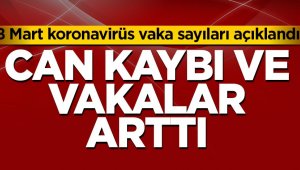 Korona vakaları yeniden artıyor