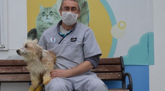 Kuşadası Belediyesi, Teri'ye hayat verdi