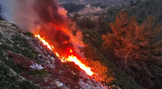 Kuşadası'nda hafriyat döküm alanında yangın çıktı