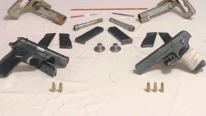 Kuyucak'ta silah kaçakçılığı operasyonu