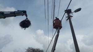 Leyleklere özel koruma