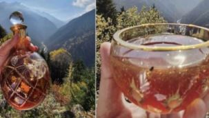 Mağaradan toplandı! Bu balın kilosu 96 bin lira