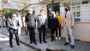 Marmaris limon kokacak