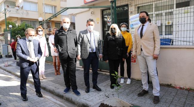 Marmaris limon kokacak