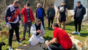 Milli sporcular sokak hayvanları için seferber oldu