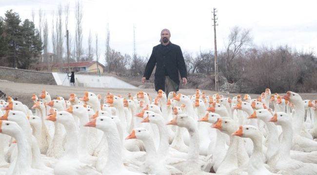 Mühendisliği bırakıp kaz çiftliği kurdu
