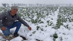 Ödemiş Ovası'na kar yağdı, üretici tedirgin